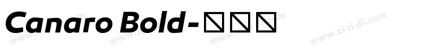 Canaro Bold字体转换
